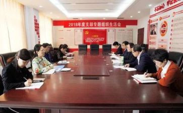 党支部年度工作总结和计划5篇