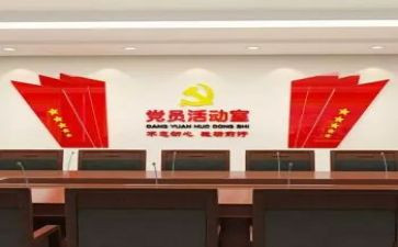 党支部1加n工作总结参考6篇