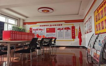 党支部1加n工作总结最新8篇