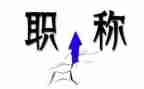 职称工作个人总结通用6篇