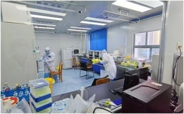 质量年活动总结模板8篇