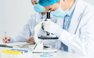 质量体系与工作计划7篇