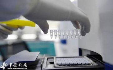 质量管理部年度工作计划6篇