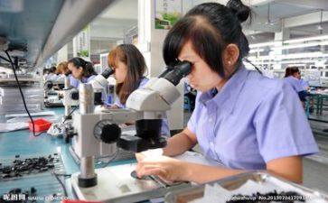 2024年质量个人总结优质7篇