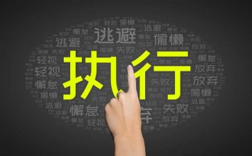 执行和执行力的心得体会精选7篇