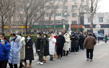 秩序员述职报告8篇
