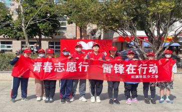 志愿者调查报告8篇