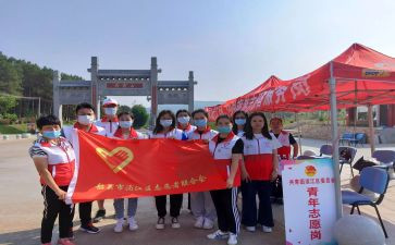 献血志愿活动总结8篇