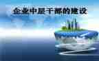 企业中层干部述职报告范文6篇