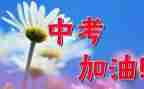 升中考的演讲稿精选5篇