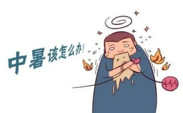 初中暑假社会实践总结6篇