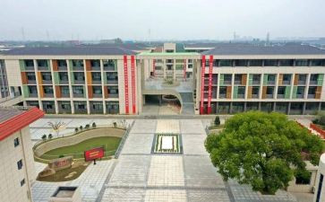 中心校工作总结与计划8篇