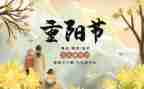 重阳节作文800字作文优秀8篇