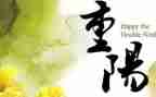 2023重阳节心得体会推荐7篇