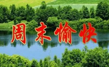 周末营活动方案7篇