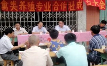 专合社工作计划范文模板6篇