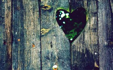 数字化转型心得6篇