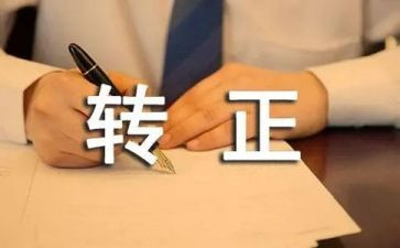 转正申请里的工作总结7篇
