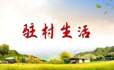 驻村帮扶年度总结5篇