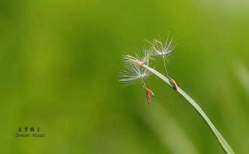 追梦的作文600字优秀5篇