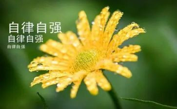 与自强不息有关的演讲稿5篇