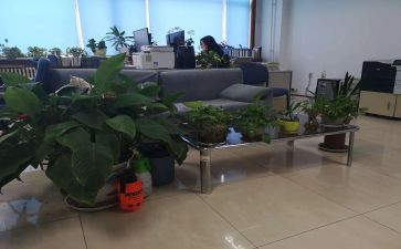 综合部的工作计划参考5篇