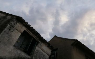 我走过这作文5篇