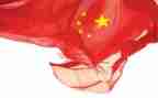 祖国的演讲稿范文7篇