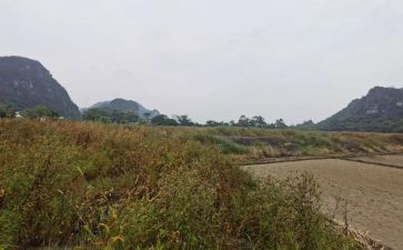租赁门店合同5篇